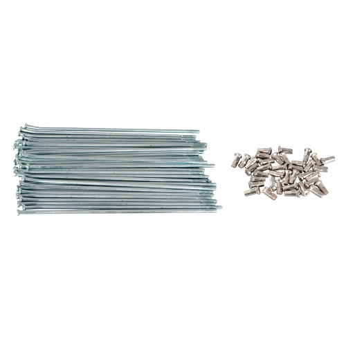 CC-50-0082
