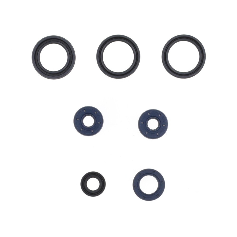 Engine Seal Set Centauro HM 125 Rotax (08-15) 411A127SR